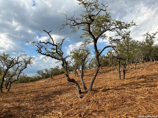 Land for sale in Bulverde, Texas