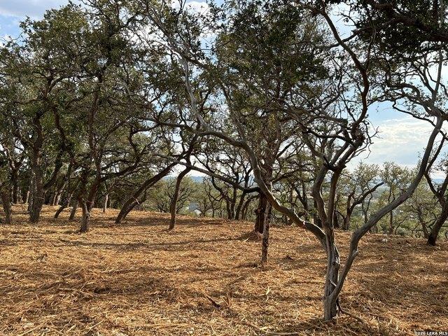 Land for sale in Bulverde, Texas