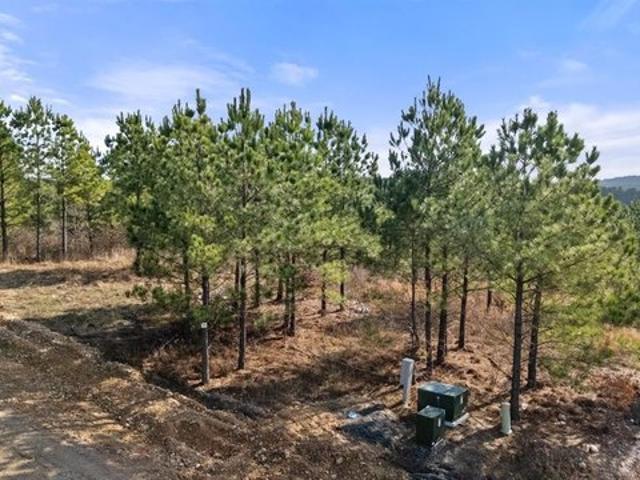 Land for sale in Broken Bow, Oklahoma
