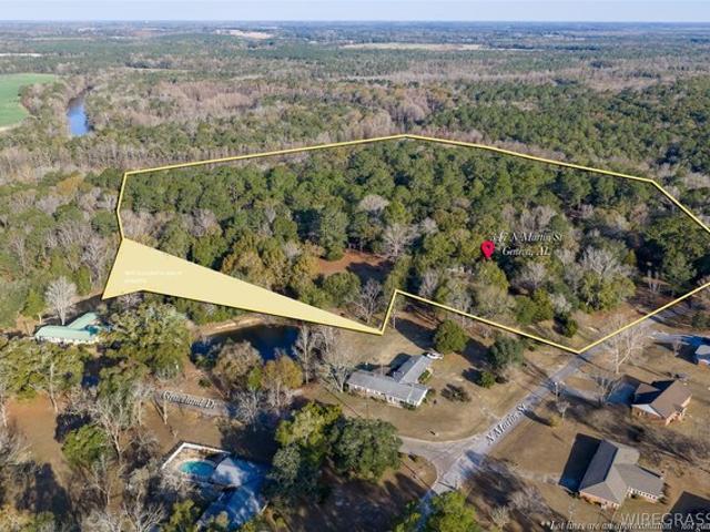 Land for sale in Geneva, Alabama