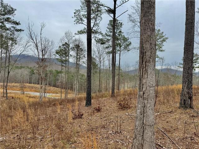 Land for sale in Pickens, Georgia