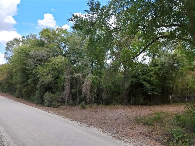 Land for sale in Robertson, Texas