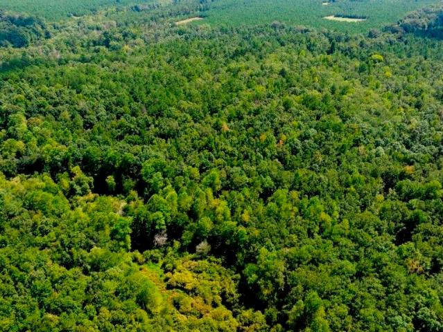 Land for sale in Waynesboro, Georgia
