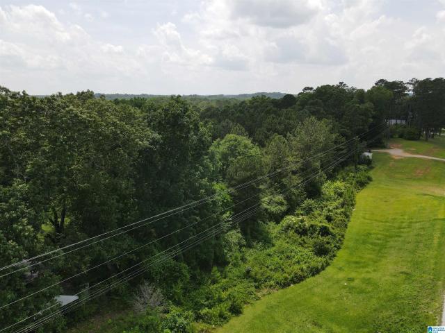 Land for sale in Eastaboga, Alabama
