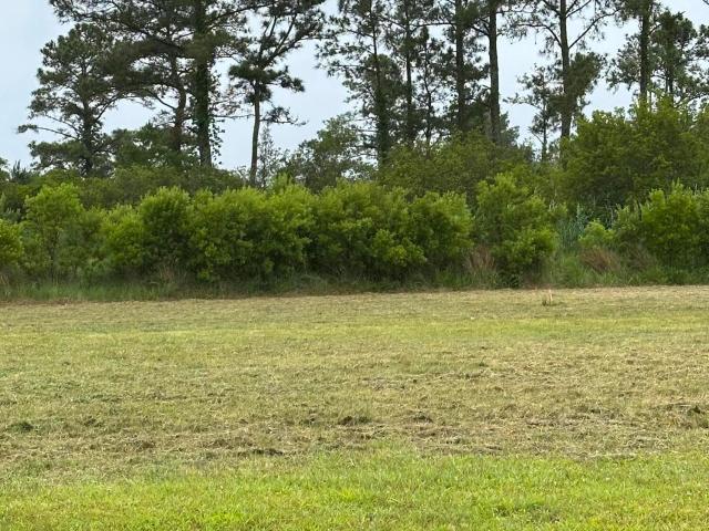 Land for sale in North Carolina