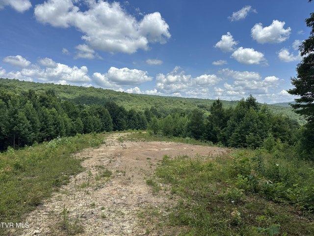 Land for sale in Virginia