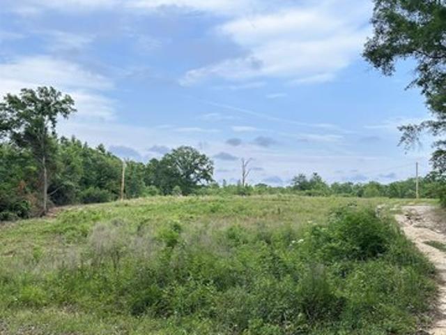 Land for sale in Opp, Alabama