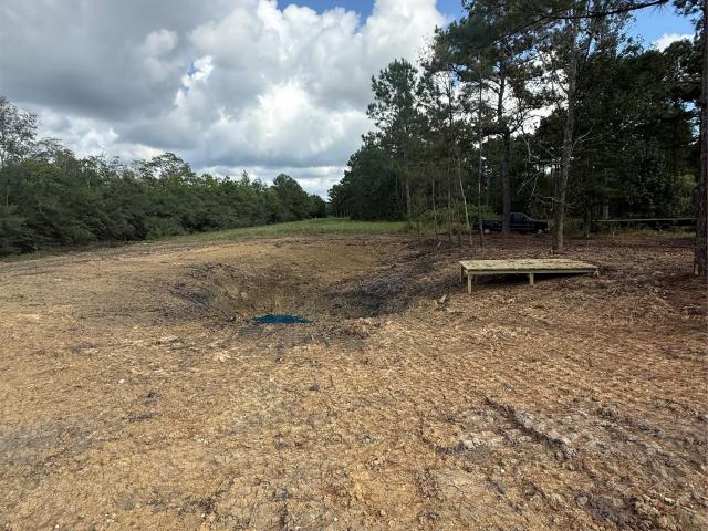 Land for sale in Liberty, Liberty County
