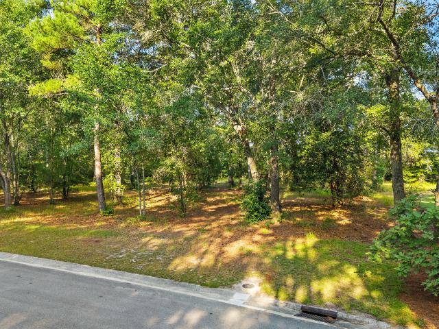Land for sale in Wallace, North Carolina