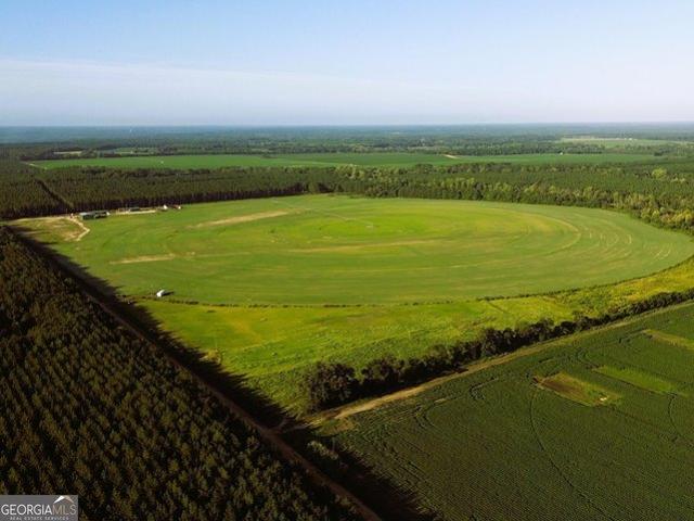 Land for sale in Sylvania, Screven County