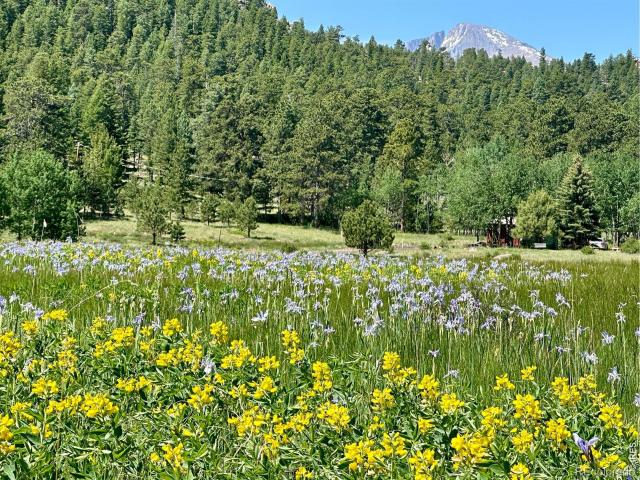 House for sale in Estes Park, Colorado
