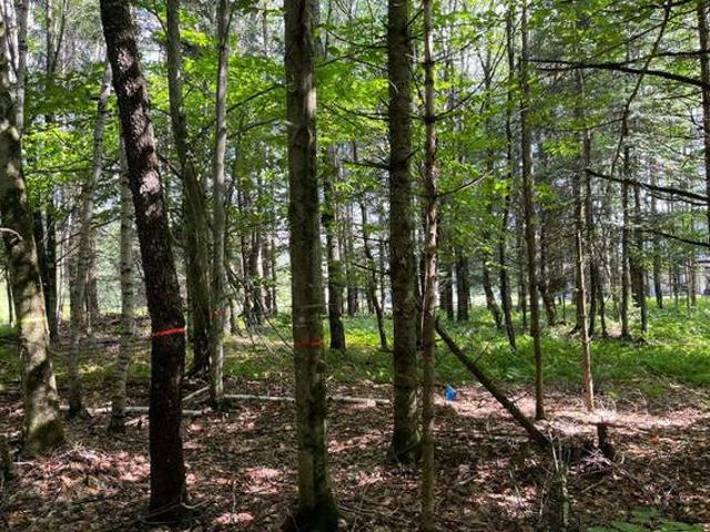 House for sale in Sherbrooke
