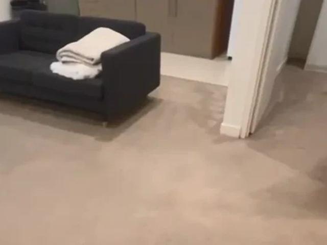 Apartment for rent in Sydney CBD, Sydney