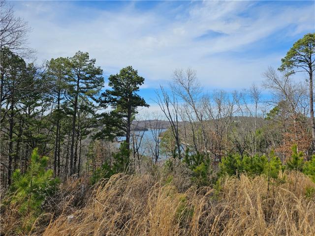 Land for sale in Ark