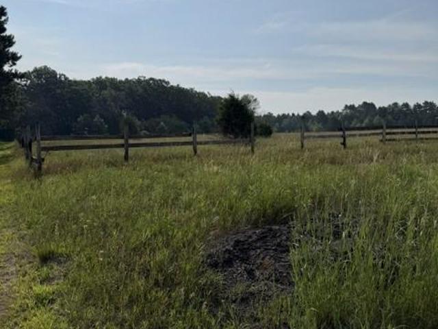 Land for sale in Stacy, Minnesota