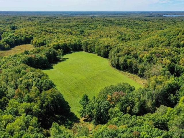 Land for sale in Medford, Wisconsin