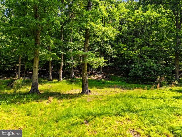 Land for sale in Hedgesville, West Virginia
