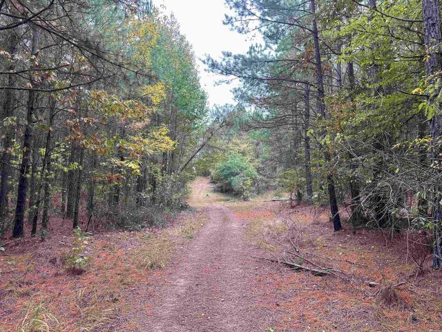 Land for sale in Ark