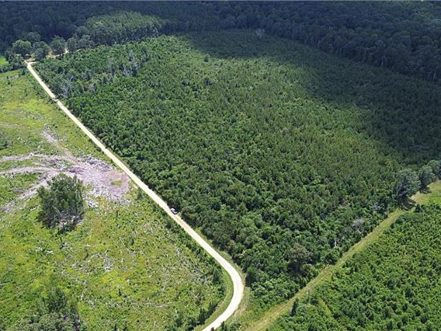 Land for sale in Mount Hermon, Louisiana