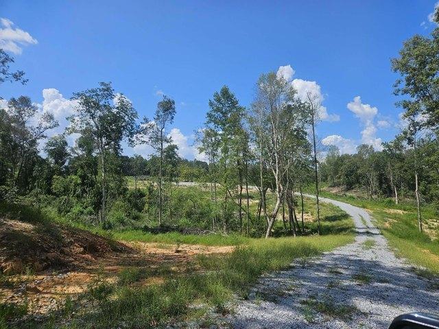 Land for sale in Ellisville, Jones County
