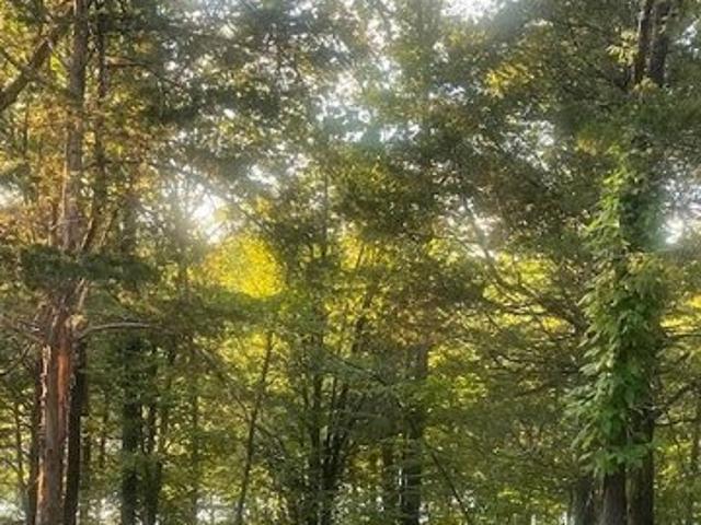 Land for sale in Pendleton, Kentucky