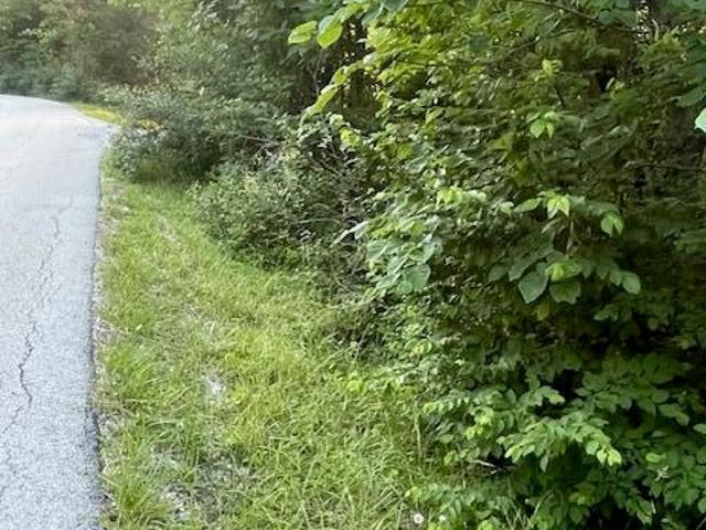 Land for sale in Pendleton, Kentucky