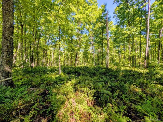 Land for sale in Michigan