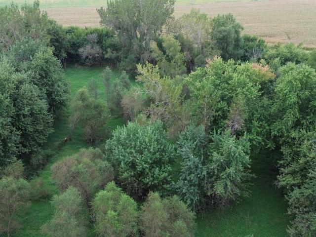 Farm for sale in Wheatland, Clinton County