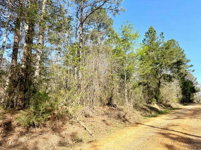Land for sale in Winston, Mississippi