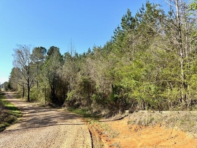 Land for sale in Winston, Mississippi