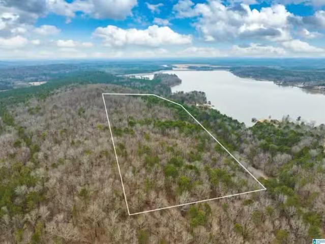 House for rent in Talladega House for rent in Talladega