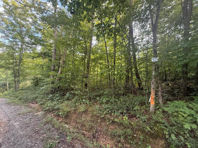 Land for sale in Somerset, Kentucky