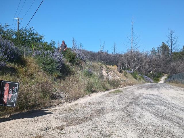 Land for sale in Butte, California