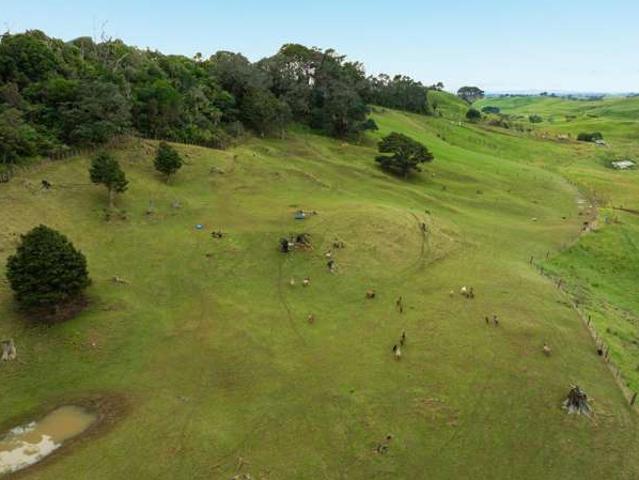 Property for sale in Awhitu
