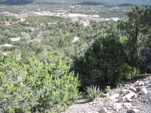 Land for sale in Cedar Crest, New Mexico