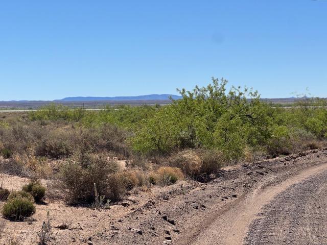 Land for sale in Bosque Farms, New Mexico