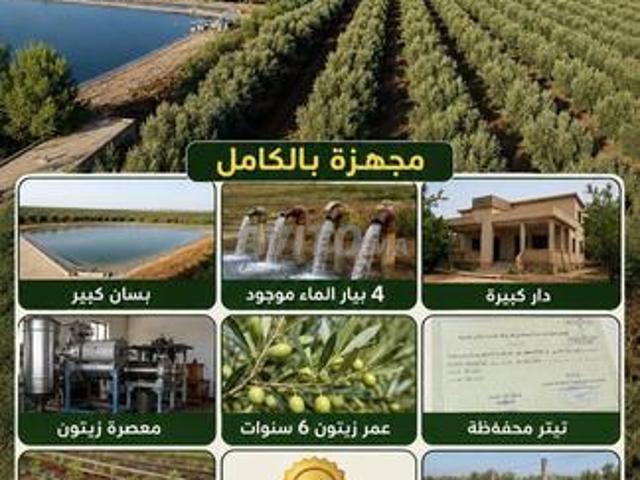 Propriété vente à Meknès