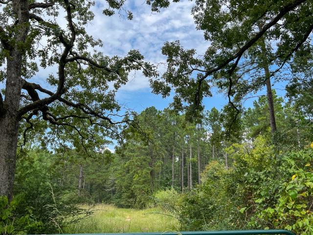 Land for sale in Groveton, Texas