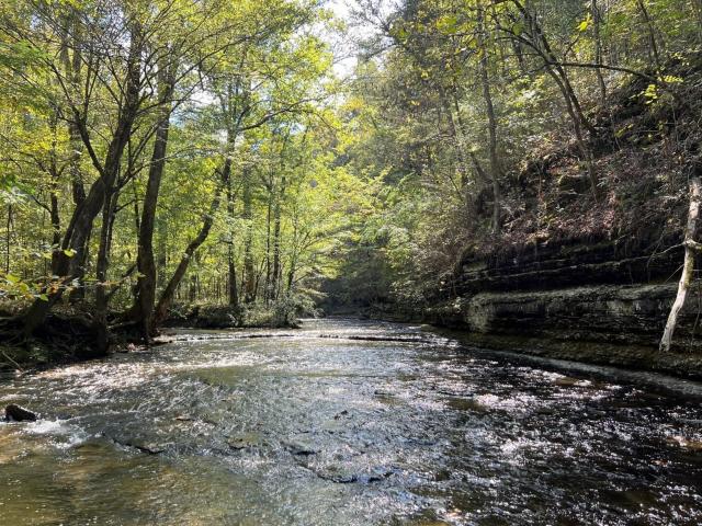 Land for sale in Tennessee