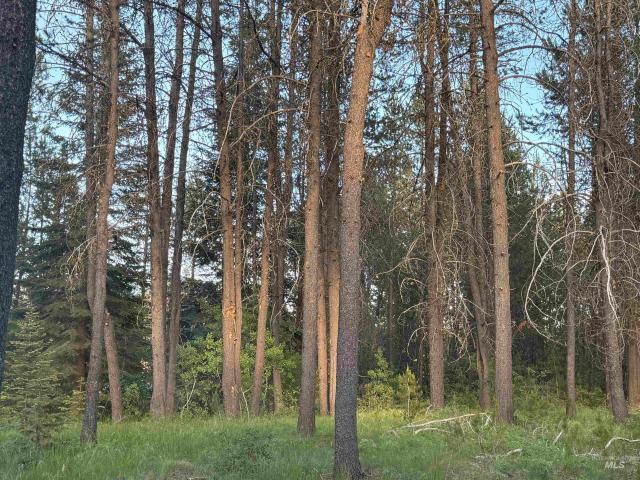 Land for sale in Cascade, Valley County