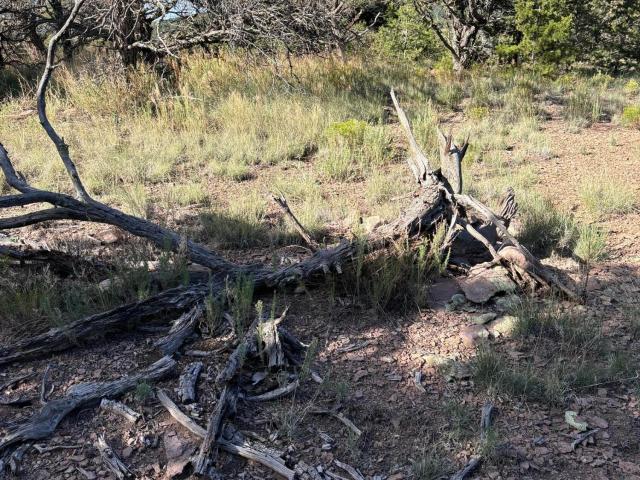 Land for sale in Catron, New Mexico