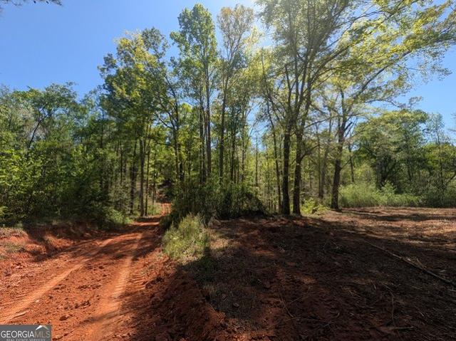 Land for sale in Pendergrass, Georgia