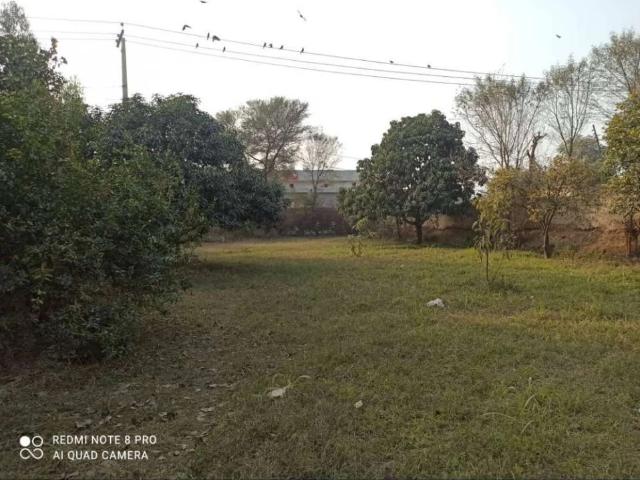 Land for sale in Multan, Islamabad Capital Territory