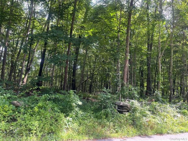 Land for sale in Patterson, New York