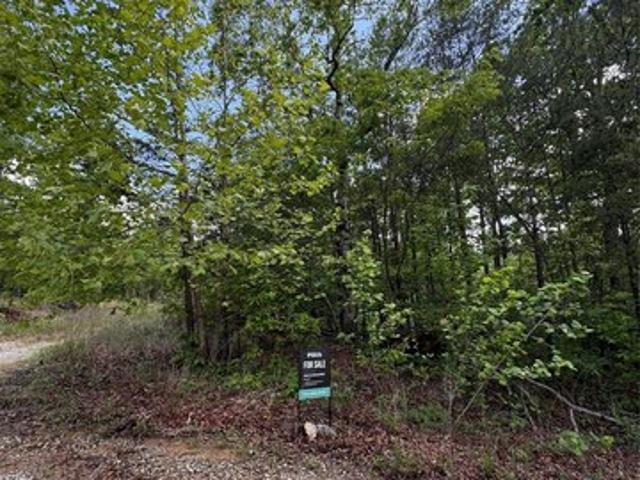 Land for sale in Marion, North Carolina