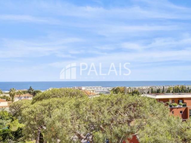 Appartement vente à Nice