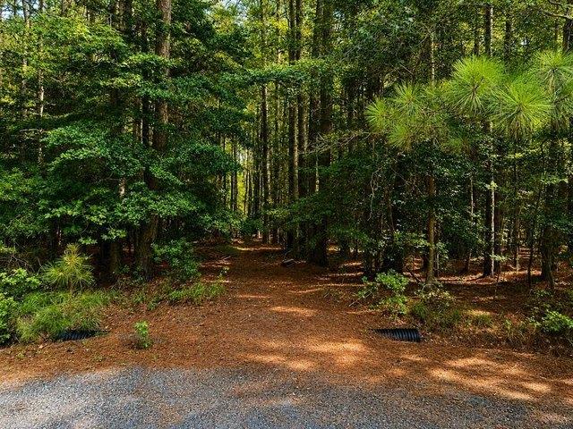 Land for sale in Painter, Accomack County