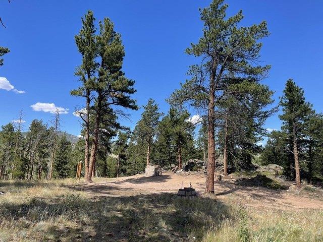 Land for sale in Red Feather Lakes, Colorado