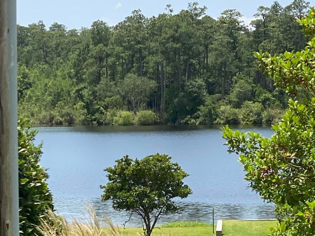 Land for sale in Loxley, Alabama