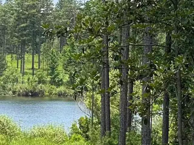 House for rent in Daphne